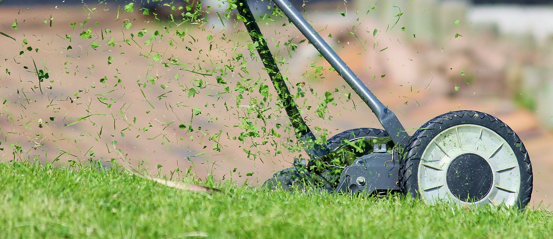 Tips for Lawn Care in Spring